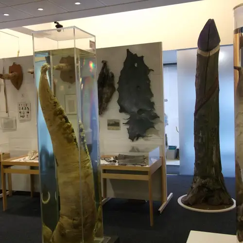 6 Strange Museums Around The World