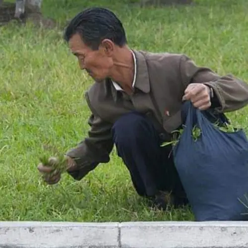 55 Rare Photographs Of Life In North Korea