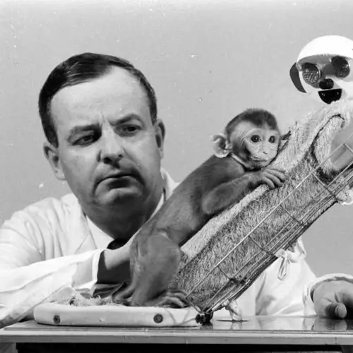The Most WTF Science Experiments Ever Conducted
