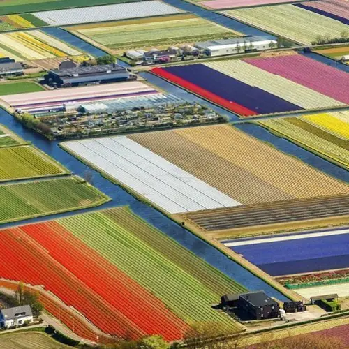 The World's Most Beautiful Spring Blooms