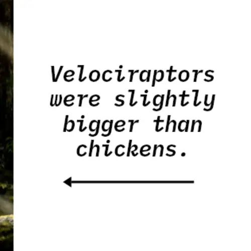 77 Amazing Facts That Will Make You The Most Interesting Person In The Room
