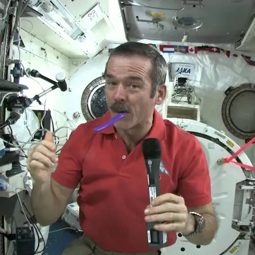 Everyday Life In Space Will Stun You