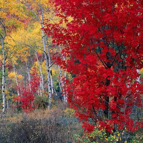 30 Colorful Fall Photos To Get You Excited For The Changing Of Seasons