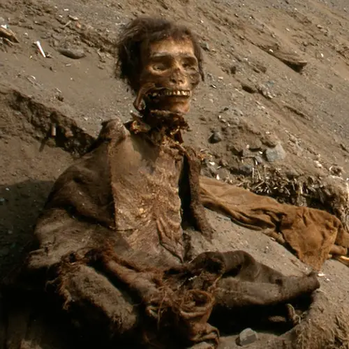 9 Of History's Most Chilling Mummies, From A 2,000-Year-Old Woman With Blood Still In Her Veins To A Bronze Age Bride