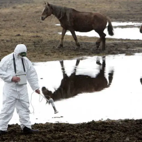 What Does Chernobyl Look Like Now? Inside The Ukrainian Disaster Zone