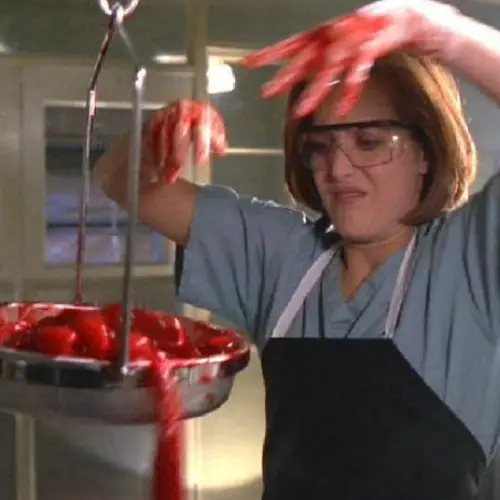 The Scully Effect: How "X-Files" Helped Mainstream Women In STEM Careers
