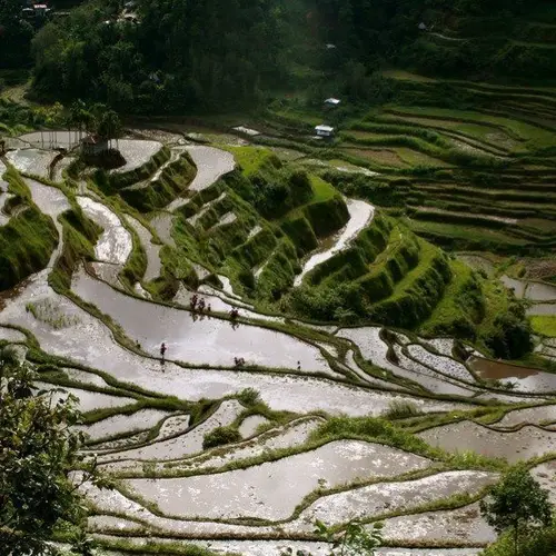 51 Unbelievable Photos Of The 2,000-Year-Old Philippine Rice Terraces
