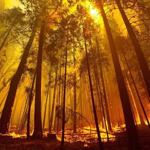 Our Earth In Crisis: Photos Of A Changing World
