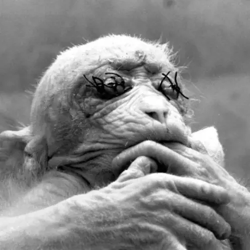 The 7 Most Terrifying Experiments Ever Conducted