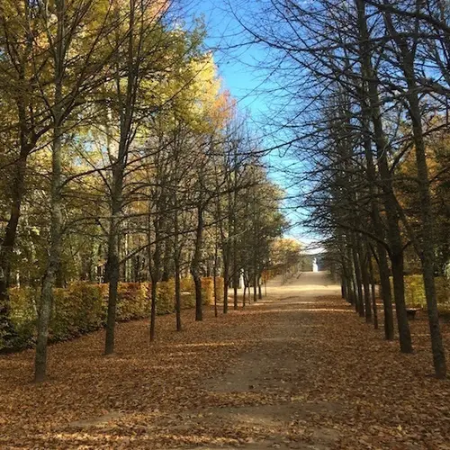 This Is What Spain's "Versailles", La Granja De San Ildefonso, Looks Like In Fall