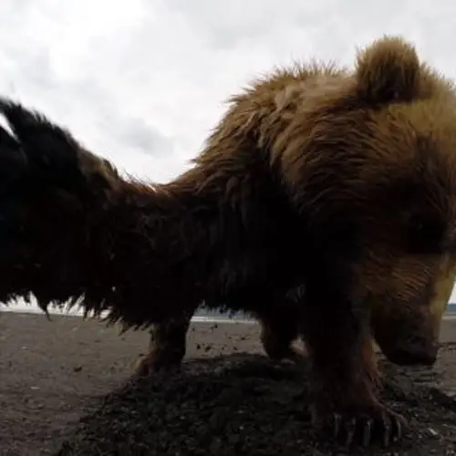 The 25 Best GoPro Videos Of All Time