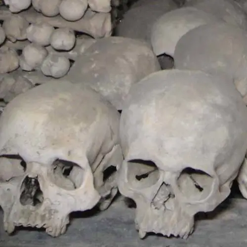The Five Biggest Killing Fields In America