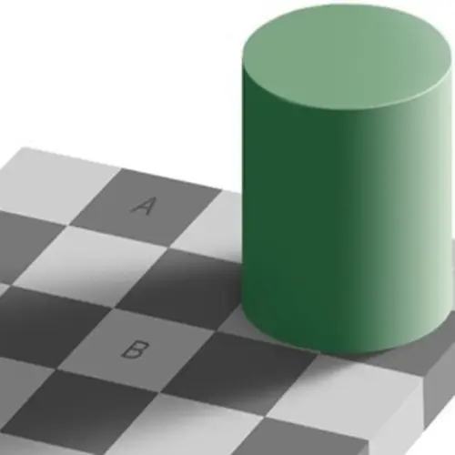 Why Your Eyes Are Fooled By The Famous Checker Shadow Illusion