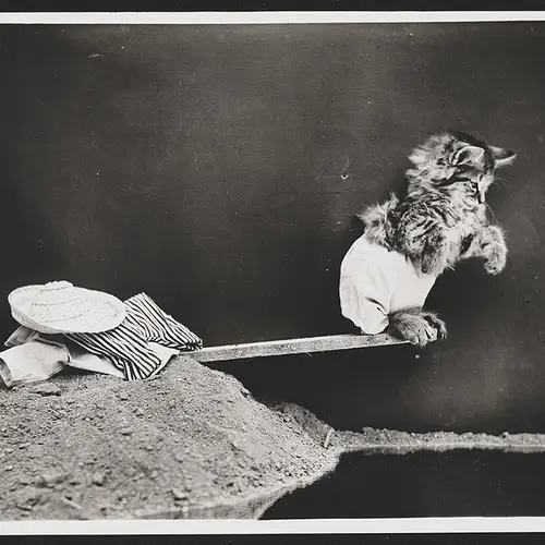 22 Photos That Pioneered Lolcats And Animal Memes A Century Ago
