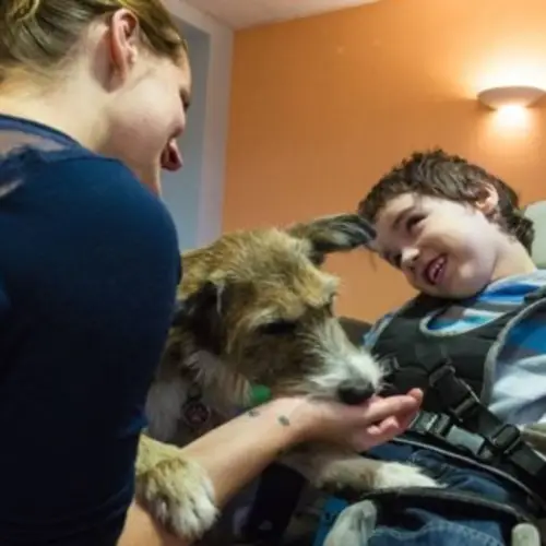 Therapy Animals: Heartwarming Photos And Surprising Facts