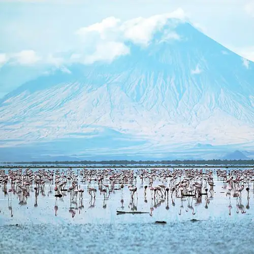 Lake Natron, The Bird-Calcifying Lake That's Actually Teeming With Life