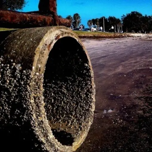 California's Pollution Problem Is Very Real: 31 Photos