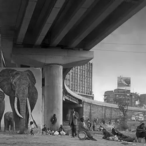 New Photo Series Imagines Nature’s Ghostly Return To Urban Spaces