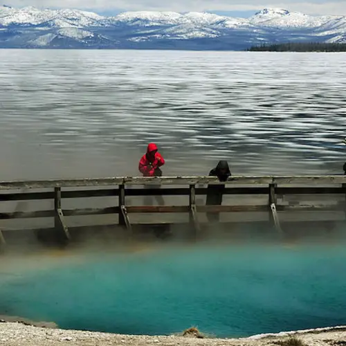 Man Scalded To Death After Trying To Soak In Yellowstone Hot Spring
