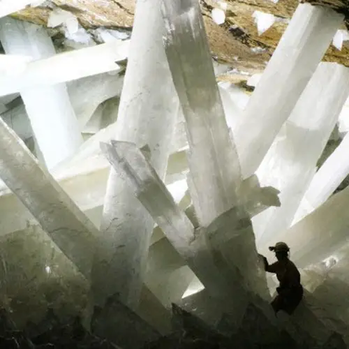 NASA Scientists Discover Mysterious Life Forms Hibernating Inside Giant Mexican Cave Crystals