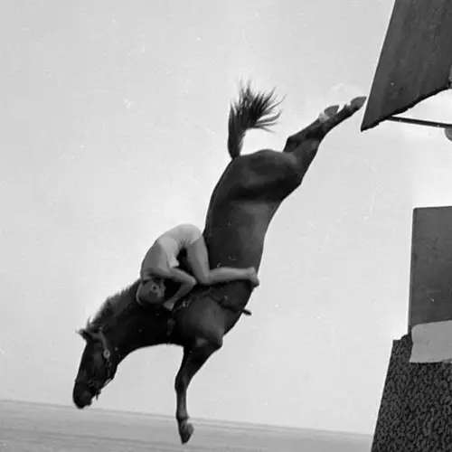 Horse Diving: 21 Vintage Photos Of The Cruel, Forgotten "Sport"