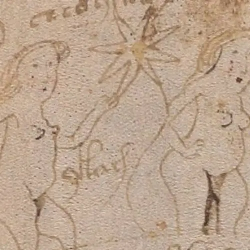 The Mystery Of The 600-Year-Old Voynich Manuscript Has Been Solved, Says U.K. Academic