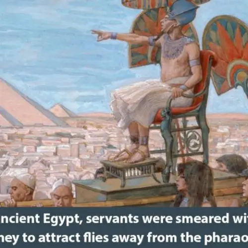 55 Interesting History Facts You Won't Learn Anywhere Else