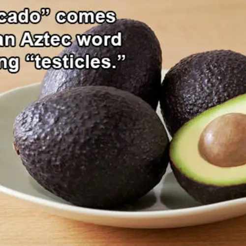 20 Interesting Words With Origins That Most People Don't Know