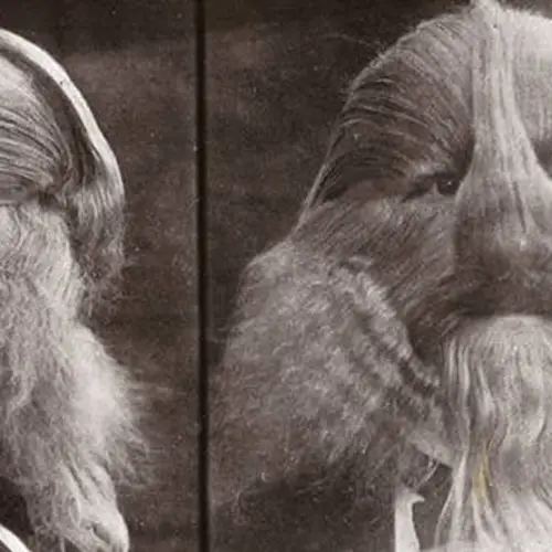 P.T. Barnum's 13 Most Famous And Unbelievable Oddities