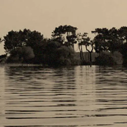 Inside Stalin's "Cannibal Island," The Soviet Gulag Where Prisoners Were Forced To Eat Each Other