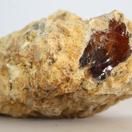 Ambergris, The Rare 'Whale Vomit' Used In Perfume
