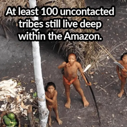 31 Interesting Facts About Brazil From The Forests To The Favelas