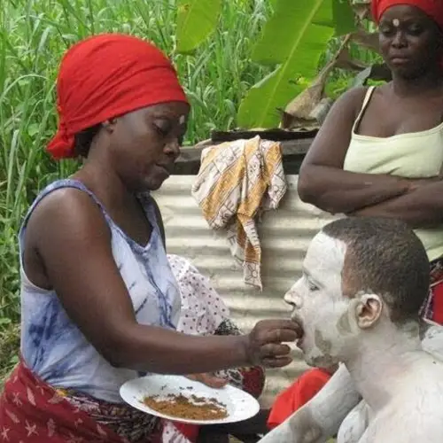 Ibogaine: The Psychedelic Drug Used By African Tribes, The CIA, And Opioid Addicts Who Are Trying To Quit