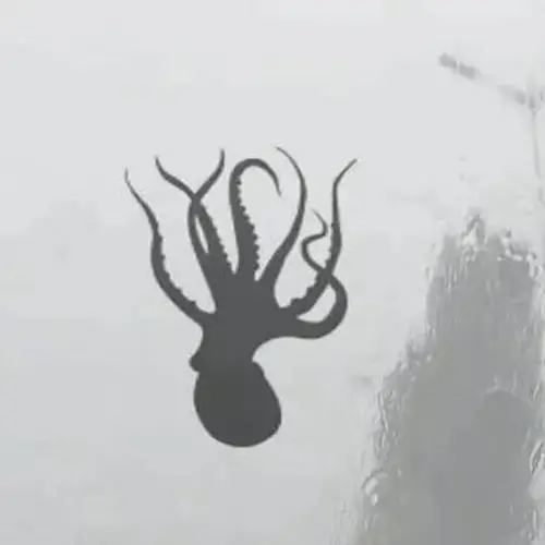 Sea Tornado In China Brings Torrential Downpour Of Hail And Animals