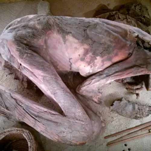 5,600-Year-Old Mummy Reveals Oldest Egyptian Embalming Recipe Ever Found