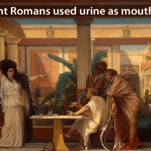 33 Ancient History Facts You Definitely Didn't Learn In School