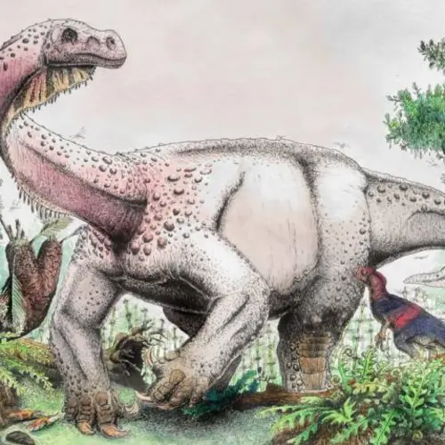 This Newly Discovered 26,000-Pound Dinosaur Was Once The Biggest Creature To Walk Planet Earth