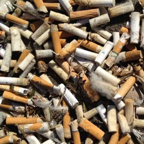 Cigarette Butts Are The Single Greatest Source Of Ocean Trash, Report Says
