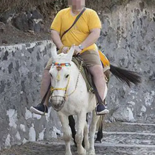Greece Officially Bans Overweight Tourists From Riding Their Donkeys