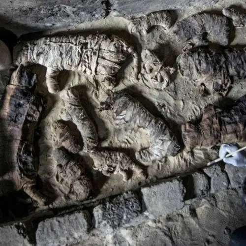 Archeologists Discover Dozens Of Cat Mummies In An Ancient Egyptian Tomb