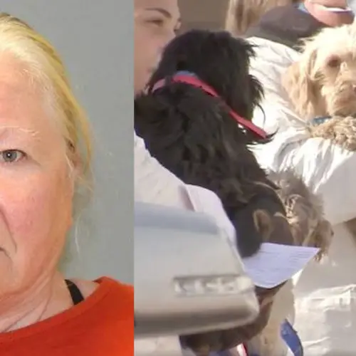 Cops Found 44 Dead Dogs In Her Freezer And 161 Live Dogs 'Living In Their Own Waste'