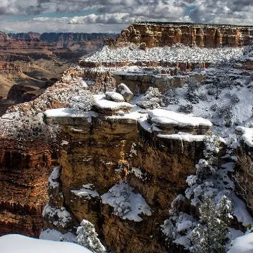 21 Pictures Of An Arizona Desert Snowstorm As A Winter Wonderland