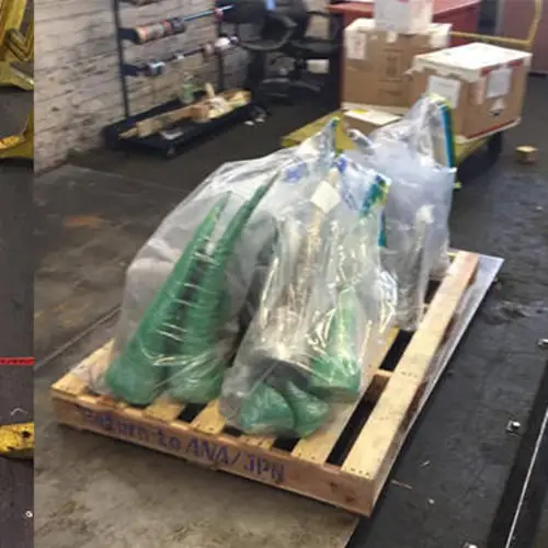 Sniffer Dog Busts 256 Pounds Rhino Horn Haul In South Africa Airport