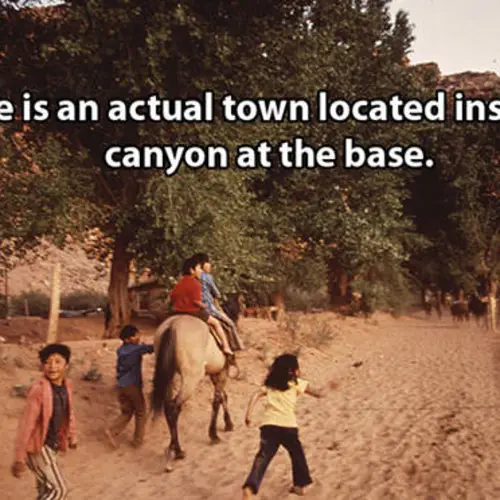 25 Grand Canyon Facts That Reveal America's 6 Million-Year-Old Natural Wonder