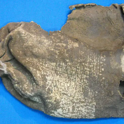 Earliest Evidence Of Ayahuasca Use Discovered In Ancient Shamanic Pouch In Bolivia