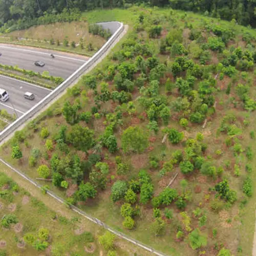 25 Animal Bridges That Are Keeping Wildlife Safe From Humans And Their Cars