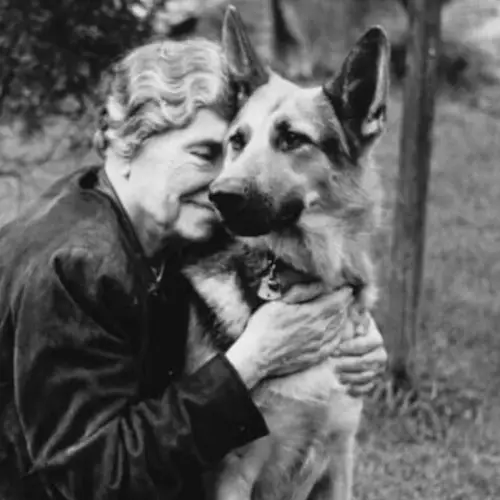 23 Photos Of Celebrities And Their Dogs That'll Melt Your Heart