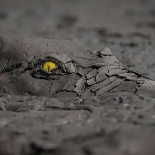 23 Of The Year's Best Nature Photographs That Will Make You Marvel At The Beauty Of Our Planet
