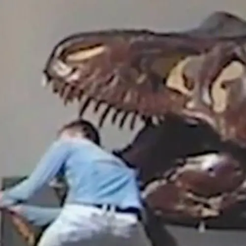 Man Caught On Camera Breaking Into Australian Museum To Take Selfies With Dinosaurs