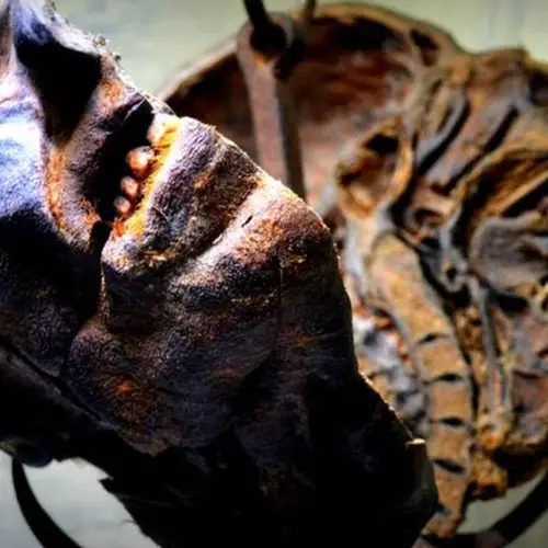 33 Of The World's Most Disturbing Museum Artifacts